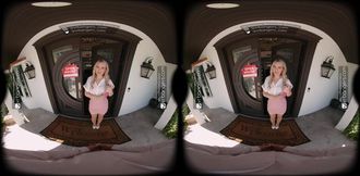 Blonde MILF Realtor Enjoys Anal Pleasure During House Showing in Virtual Reality