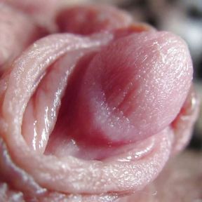 Extreme Closeup Pulsating Huge Clitoris FULL VIDEO