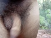 Desnudo por el bosque