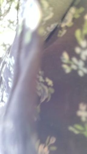 Utter Chaos.... but ill Fuck You Outside😈