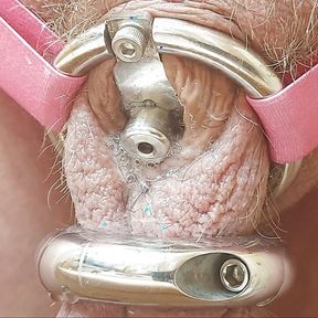 Dripping precum from my inverted chastity cage hands free