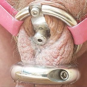 Dripping precum from my inverted chastity cage hands free