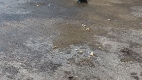 Squash Veggie Smash with Platform Boots (ASMR)