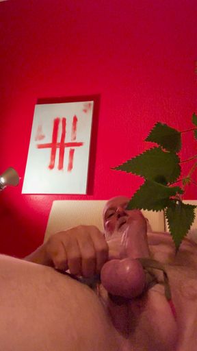 Bearstgt fresh nettles