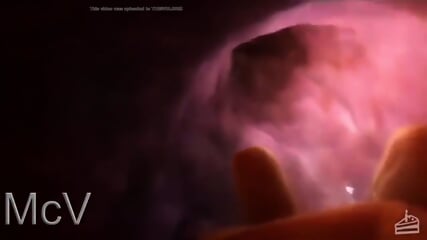 your streamer food vore