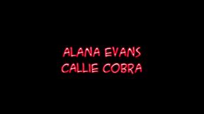alana evans and callie cobra share blowjob threesome with talon