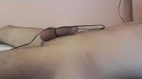 The e-stim of a cock from the inside