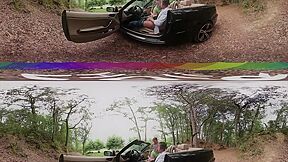 Virtual Reality Car Sex In Public