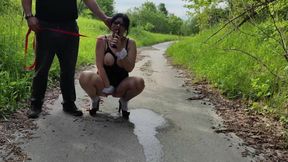 Amateur wife cheats husband in public with her new toy