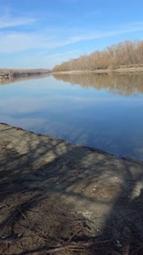 Piss me in the forest🤤🤤