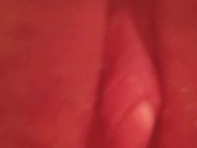 Look but dont touch