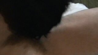Celebrity Twink Worships Huge Cock with Passion & Pleasure!