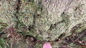 Winter pee compilation