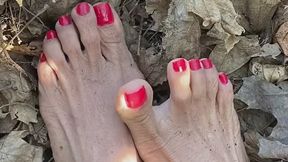 1. Melove. Sexy Small Feet with Long Toes in Red Nail Polish Outdoor
