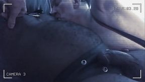 The Return of the Titpigs: On Camera Surveillance.