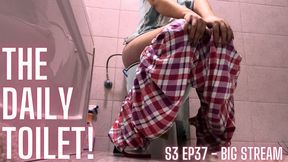 The Daily Toilet Season 3 Episode 37