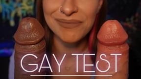 Gay Test