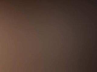 The sextoy salesman - Anal