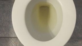 MSN THE ZONE GOLDEN PEE *MSN THE ZONE DISCONNECT ROOM NOISE*