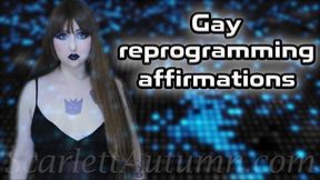 Gay reprogramming affirmations - WMV HD 1080p