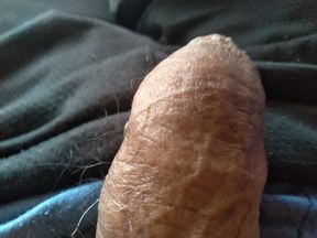 Hard cock promises you great sex