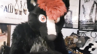 Smelly Fursuit Skunk Gas [Commission]