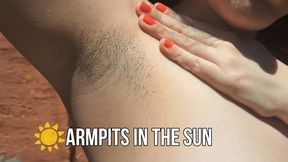 Armpits in the sun
