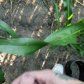 the farmer&#039;s wife asked to inject extra vitamin in the corn field,he was a bit shy