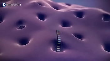 Ribamar comendo uma reticula endoplasm&aacute_tica bem safadinha