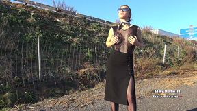 me godant ma petite chatte infidele dans la voiture le long de l autoroute