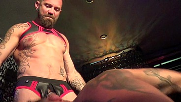 2223 show porn live in publicShow porn live en public au sauna IDM de paris