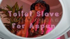 Toilet Slave For Aspen