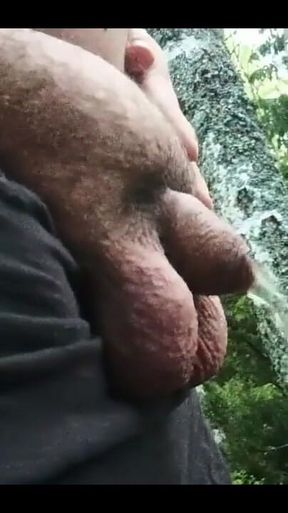 Pissing