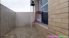 TRANSBRAZIL FESTIVAL - PUTARIAS NATALINAS | Filme 4