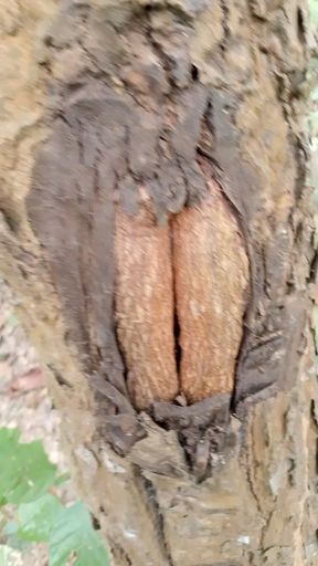 Love you too baby girl I love you too baby girl I love the snow so