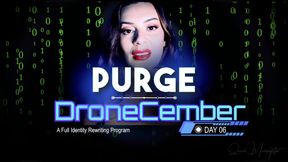 Day 6: Purge Command