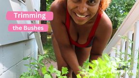 Hoeing in the Sun: Harvesting Herbs