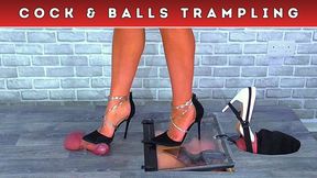 Crushing Your Cock & Balls Under My Posh Stiletto Heels (133) - Feet Cam - Trample Trampling CBT Shoe Worship Fetish