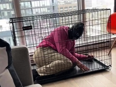 Lord Goddess Maria - Introducing The Slave To Its Cage