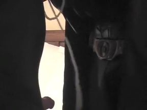 Gay sex with batman
