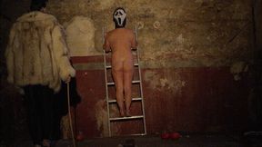 Whip and CBT on ladder