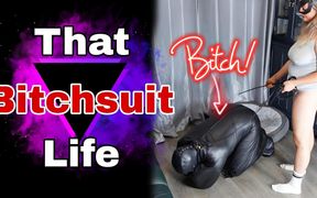 That Bitchsuit Life Femdom Slave Bondage