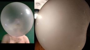 BG mix anglo bubbly & elite bazooka 50 pieces