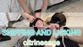 Foot slave sniffs and worships my feet after a long day in leather boots