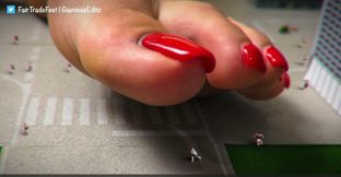 City Highlights — Best Moments Compilation