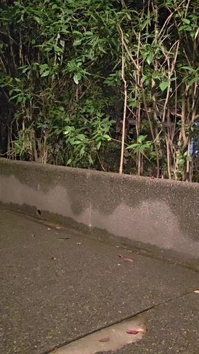 Public Toy Fucking and Outdoor Dildo Self Pleasuring of Shemale Ting Xuan