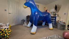 Transparent blue pony ride 4K