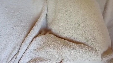 YURI GAÚCHO - MORNING WOOD