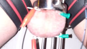 Balls Stretched & Electro Tormented