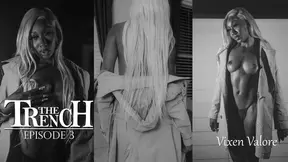 DIRE DESIRES The trench episode 3 with Vixen Valore